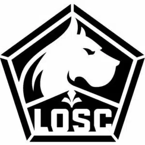 musique LOSC animation