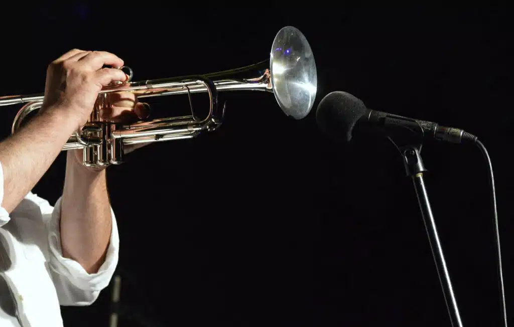 musicien-pour-le-mariage