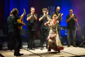Émotion sur scène – Passion, virtuosité et authenticité dans chaque performance