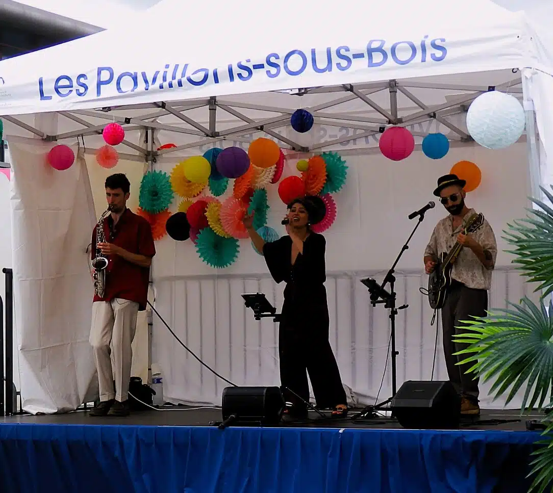 Paris cocktail - animation - concert - Paris